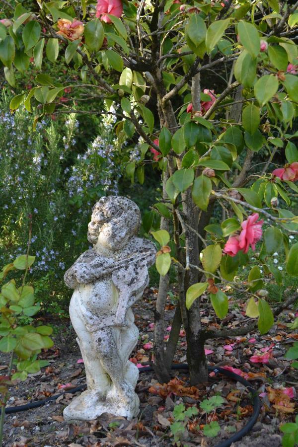 La Cabanne Bed and Breakfast Saint-Martin-Lacaussade Buitenkant foto